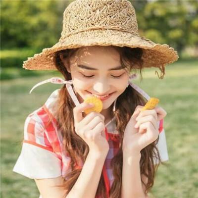松鼠王国汉化版下载